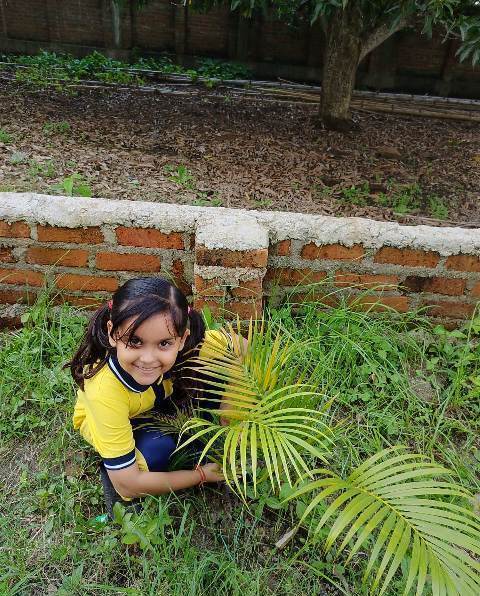 ECO CLUB ACTIVITY EK  PED KE NAAM 2.0